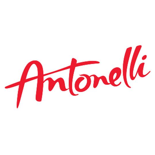 ANTONELLI GROUP SRL